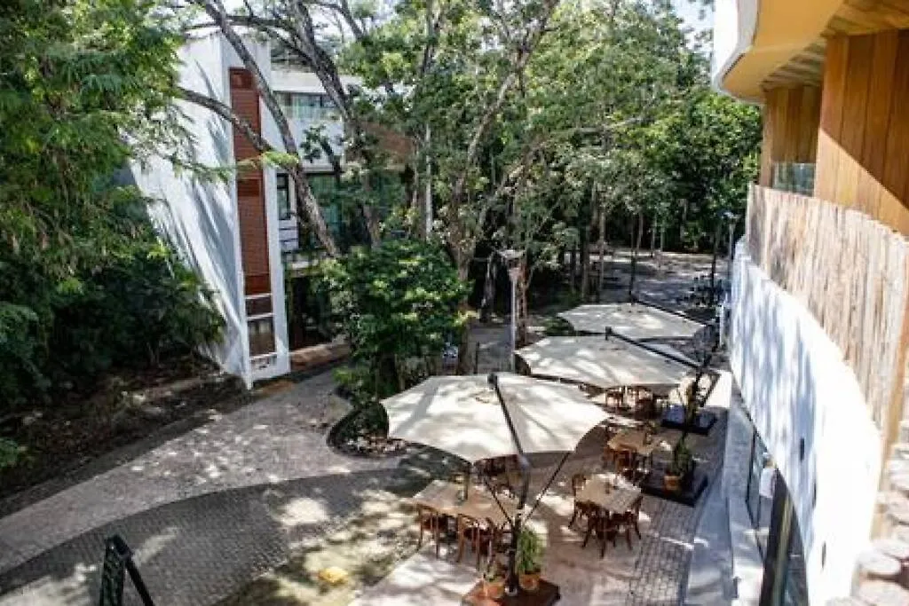 Gaia Condo De Lujo Comodo Y Tranquilo En Aldea Zama Τουλούμ Διαμέρισμα